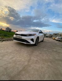 ٢٠٢٢ • أبيض صدفي • لوحة أربيل