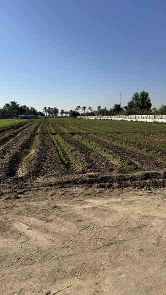 السلام عليكم دونمين موقع كلش حلو على شارعين مثل مموضح بل فديو كل خدمات متوفره وتبليط يبعد ١٠٠ متر مفروش سبيس لاستفسار اتصل 
*********** @إشارة
