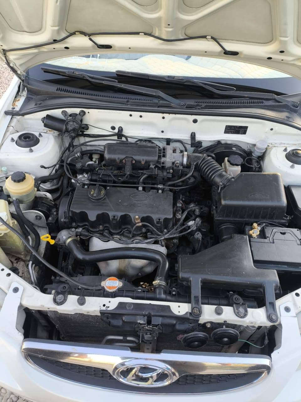 بيع مستعجل فيرنا مديل12 كفاله سياره بيها بس صبغ بدون دوخل تخم تاير سياره خير من الله شراي يتصل غير متوجد عل فيس
‏‪***********‬‏
بيع مستعجل فيرنا مديل12 كفاله سياره بيها بس صبغ بدون دوخل تخم تاير سياره خير من الله شراي يتصل غير متوجد عل فيس
