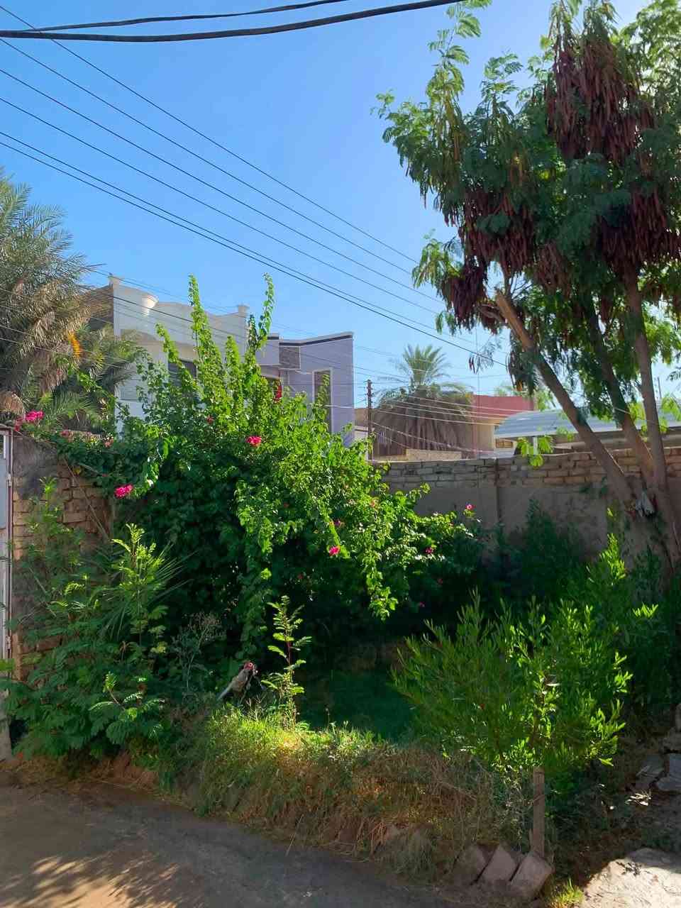 🏡 بيت للإيجار – حي الفرات

📍 العنوان: حي الفرات، مقابل مدرسة الأقصى.

يمتاز الموقع بشارع مبلط ومجاري مكتملة حتى باب البيت.

مواصفات البيت:

- غرفة نوم
- صالة
- مطبخ
- مجمع صحيات
- كراج
- حديقة

للاستفسار والمزيد من التفاصيل، يرجى التواصل على الخاص أو الاتصال.***********
