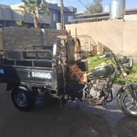 ستوته • ٢٠٠ • مجال