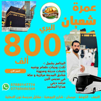 عمرة شعبان • ٢/٢/٢٠٢٦ • شارع الجوهرة