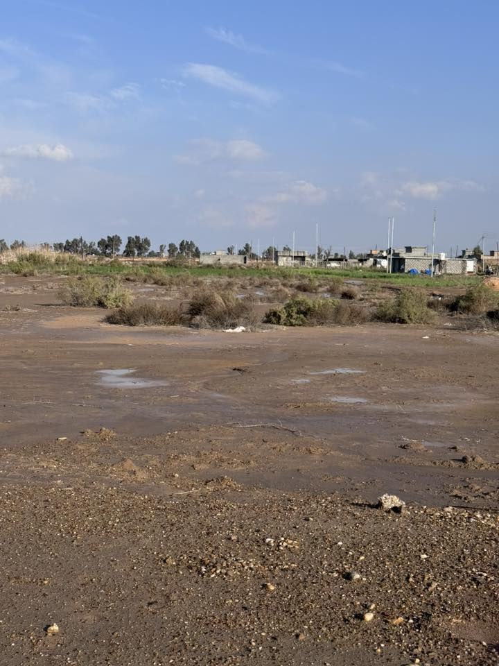 3 دوانم السجر عقد 117
واجهه 50 ونزال 150 
كامل خدمات 
***********
