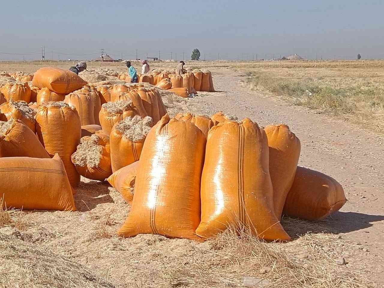 إعلان بيع تبن شمال 🔹
يوجد تبن شمال درجة أولى، نظيف وناعم ولونه أبيض، ذو نوعية ممتازة ومناسب للتغذية.
📍 متوفر بسعر مناسب ✅ شرط الفحص والمعاينة
للاستفسار والمزيد من التفاصيل يرجى التواصل على الخاص.


**إذا كنت صاحب هذا الإعلان وتريد حذفه لأي سبب، رجاءا أرسل رسالة إلى الدعم الفني**