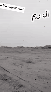 فرس للبيع المكان ناحيه القياره الحود الزاكه السعر خاص *********** الطول 160او اكثر
