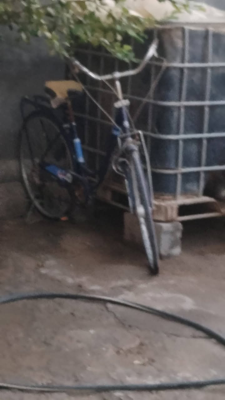 البصرة القرنه الشرش الجلعه 
موجود بايسكل 27 و 26 للبيع  سعر 26 100بي مجال 90 27 سعره 85 مابي مجال  الاتصال ***********
