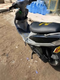 ماكس منغولي • البصرة • كفالة