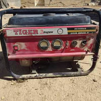 مولده تايكر ام النمر • نضيفه • بابل