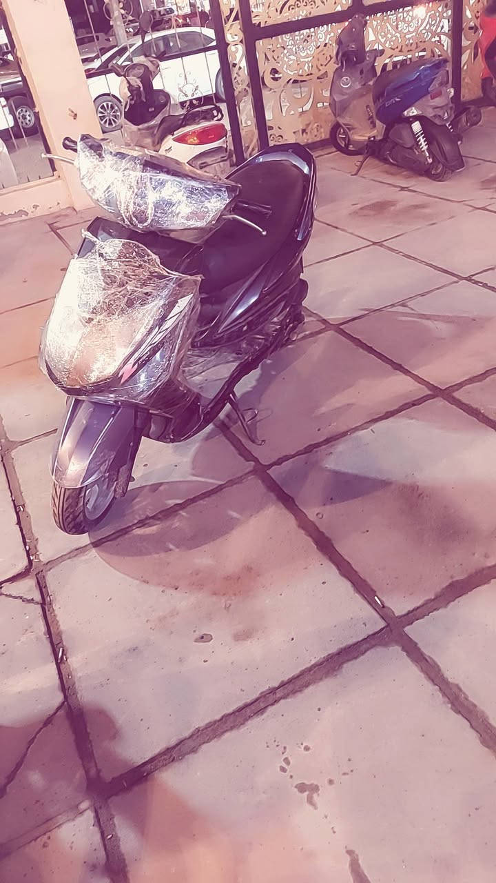 سلام عليكم سكنس فحل نوزل مابيها نقص تواصل واتساب أو رقم***********
