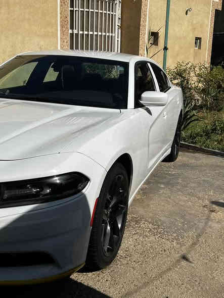 سلام عليكم 
جارجر 2019 
كنديه كلين تايتل 
ماشيه 60ميل بلاديه سياره عل وضع شركه 
كير مكينه بلاديه شركه 
كشن حظن 
شاشه وسط 
ويل عشرين تخم تاير 
كامره دواره 
حساس خلفي 
سياره جديده
السعر 240وبيه مجال 
مكاني واسط نعمانيه 
***********
