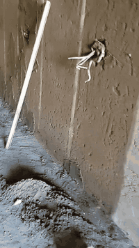 ختصاص بتاع لبخ وتصفير وتشميع وجص وبياض ***********
