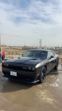 ويل عنكبوت • قياس ٢٠ • مراوس بويل