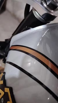 دراجة • أوراق أصلية • معمّرة