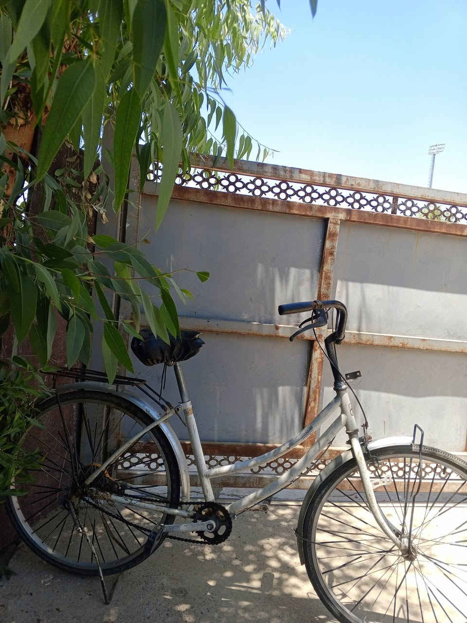 ئەم پاسکیلە بۆفرۆشتن35هەزارو مەعامەلە***********
