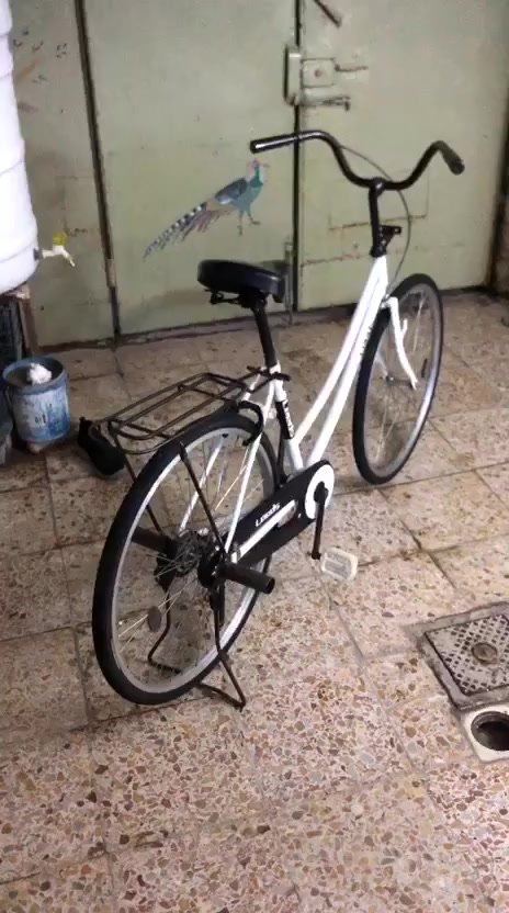 باسكل للبيع موديل 19 السعر 140 هذا رقمي ***********
