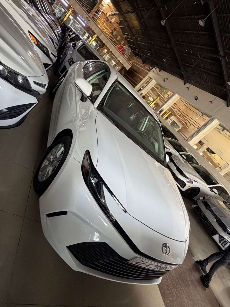 Camree2025 le
14000mile
بدون سبو خ بدون ارباك 
بس بيها pdr 
جاملغين خلفي صندوق بيها pdr أربيل, العراق


**إذا كنت صاحب هذا الإعلان وتريد حذفه لأي سبب، رجاءا أرسل رسالة إلى الدعم الفني**