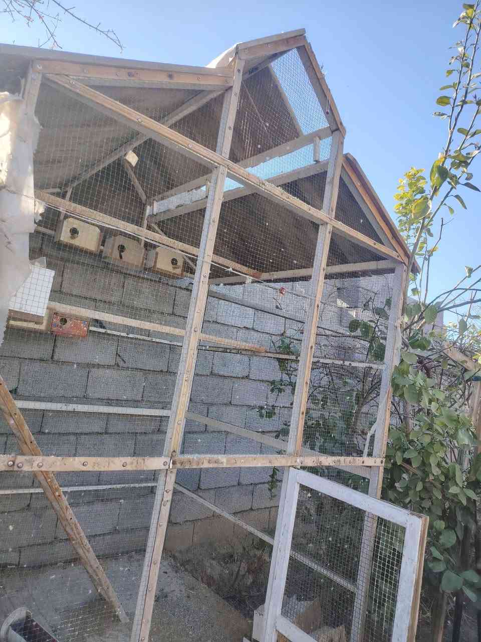 من رخصه صاحب الكروب
السلام عليكم قفص بلابل هوه وغراض بي ارتفاع 2 ونص وعرض 1.50
حديد شغل درجه اولئ ومغلف خشب
250 رايده جديده الشط
***********
