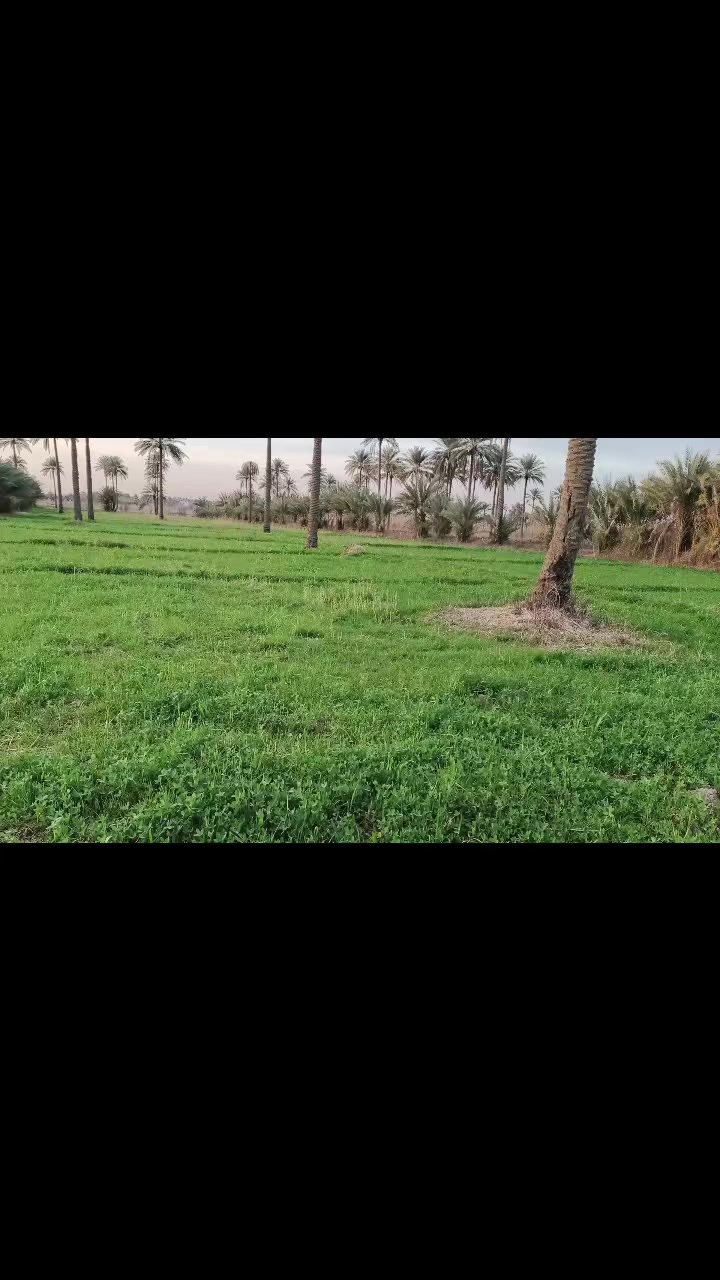 🌾✨#للبيع_أرض_زراعية_ساحرة_في_قلب_كربلاء🌾
🟢 تفاصيل العرض:
📏 المساحة:  دونم، 
📜 نوع الملكية: طابو زراعي (سند 25)
🔄 تحويل الملكية إلى اسم المشتري
📍 📍 الموقع: كربلاء، طويريج، طريق الجدول، 
، منطقةالعيوج، 
طريق، الزوار ، يربط، كربلاءالمقدسة، حله، 
🌟 الاستخدامات المثالية
🏡 سكن مريح
💼 استثمار مربح
🌳 مزرعة خاصة 
🌿 مزرعة ترفيهية 
🌼 مكان للاستراحة والهدوء
ايضا يتوفر لدينا عقارات اخرى في مختلف مناطق، كربلاء المقدسة وايضا في طريق، كربلاء، نجف،و منطقة، شط الله، 
و منطقة العيوج، ومنطقه ام جمل، 
 وقرب ، بنت الحسن(ع)
📞 📞 للاستفسار اكثر الاتصال على 
📱 ***********☎️ابو غانم: واتساب 
@ ***********☎️ابو غانم: واتساب
