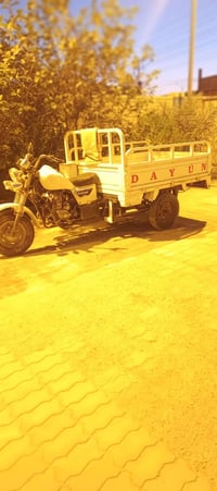 ستوته • مراوس • دراجة بارت