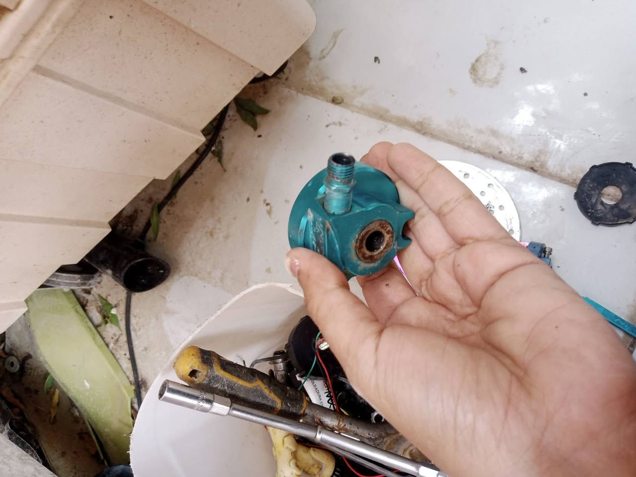 تزويد ماكس اصلي كلمن وسعره توصيل موجود


**إذا كنت صاحب هذا الإعلان وتريد حذفه لأي سبب، رجاءا أرسل رسالة إلى الدعم الفني**