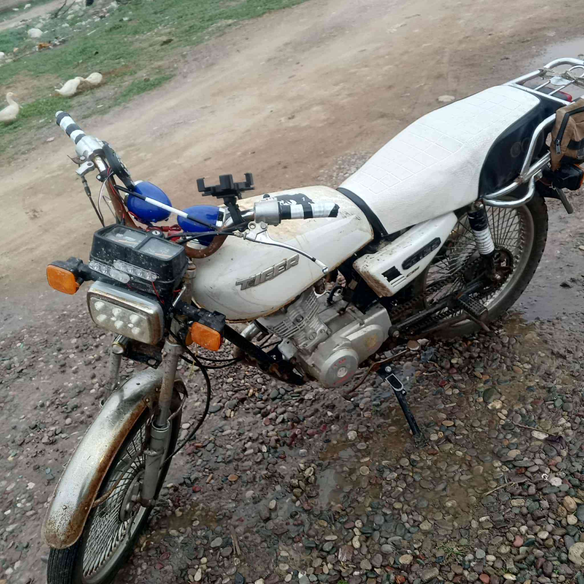 تايكر موديل 19    شلعا ومعدل أنطيك شرط مكينه خرسه شرط. نص هندر.   لا صرف ولا نفخ سعر 250   وبي مجال للطيبين شراي تعال خاص


**إذا كنت صاحب هذا الإعلان وتريد حذفه لأي سبب، رجاءا أرسل رسالة إلى الدعم الفني**