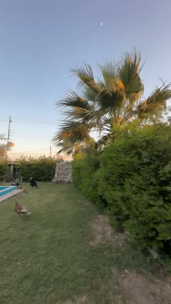 🌿 مزرعة للبيع – بغداد / الأوسمة 🌿
فرصة مميزة لامتلاك مزرعة جاهزة بالكامل، طابو صرف، ولا تحتاج لأي أعمال أو إضافات.

المواصفات:

- ✅ المساحة: دونمان
- ✅ مساحة البيت:260 م²
- ✅ منظومة طاقة شمسية متكاملة
- ✅ كهرباء وطنية
- ✅ ماء وسحب متوفر
- ✅ جاهزة من جميع النواحي ولا يوجد أي نقص

محتويات المزرعة:

- أقفاص لتربية الحيوانات
- حديقة داخلية
- حديقة خارجية
- مسبح في الحديقة الأمامية

مواصفات المنزل:

- استقبال
- صالة كبيرة
- مطبخ
- 2 غرف نوم

📞 للسعر ولمزيد من التفاصيل يرجى الاتصال:
***********
***********
أبو سارة
