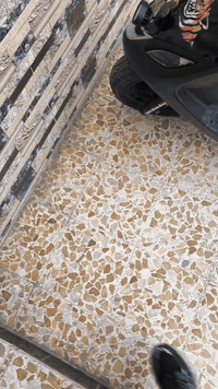 اسكنز فحل ياباني ماطور نضيف سلم شغال درع اصلي جديد السعر 400الف بي مجا...