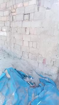 حي الفرات كربلاء • هيكل • ١٠٠م