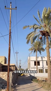 #استثمار الارض زراعي سند 17 اصوليه 100/100 التواصل 07831328501