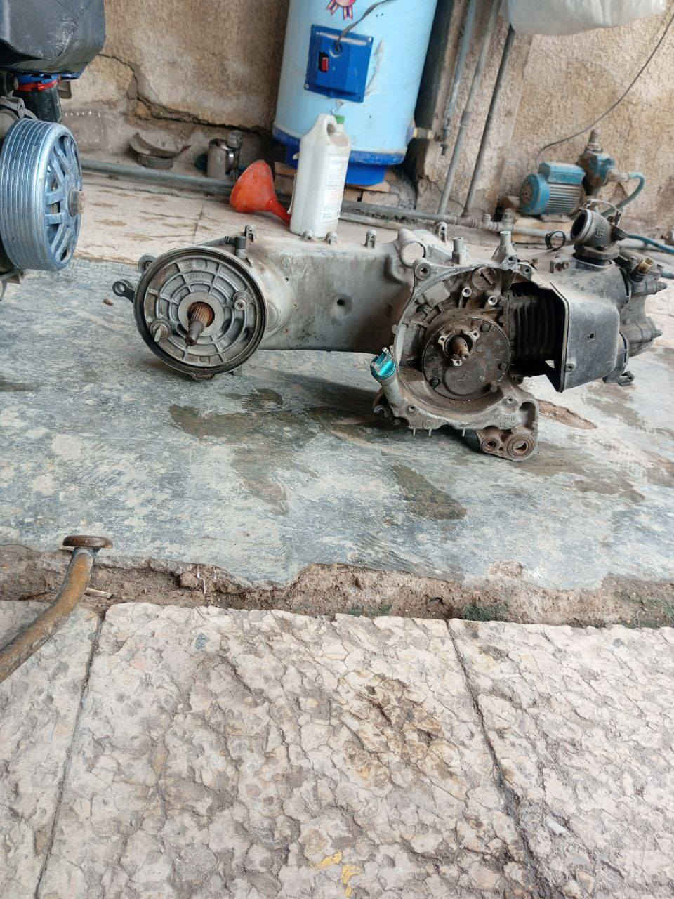 فشكة سكنس جبلي للبيع تريد كامل تريد تفصيخ كلمن وسعره ابيع كامل اب150وبي مجال قليل وسعره زين وهي مال جبلي مال جبلي كله غالي مكاني بغداد الشعب تواصل واتساب موجود ***********
