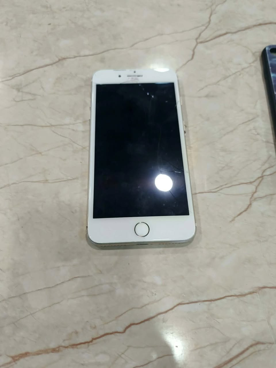 للبيع مبدل بطاريه ١٠٠ بي فطر بلشاشه  للبيع او المراوس ٨٠


**إذا كنت صاحب هذا الإعلان وتريد حذفه لأي سبب، رجاءا أرسل رسالة إلى الدعم الفني**