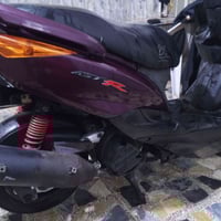 ثعلب فحل رياضي مكينه هاون شرط طيران مكاني مدينه الصدر سعر 600رقمي 0772...