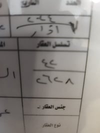 نص قطعة • ١٣٠م • جم العجم