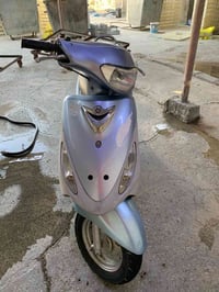 ماكس منغولي • كفالة عامة • بلادية