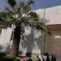 بيت للايجار او للبيع • خانقين اوباره • ٣٠٠م