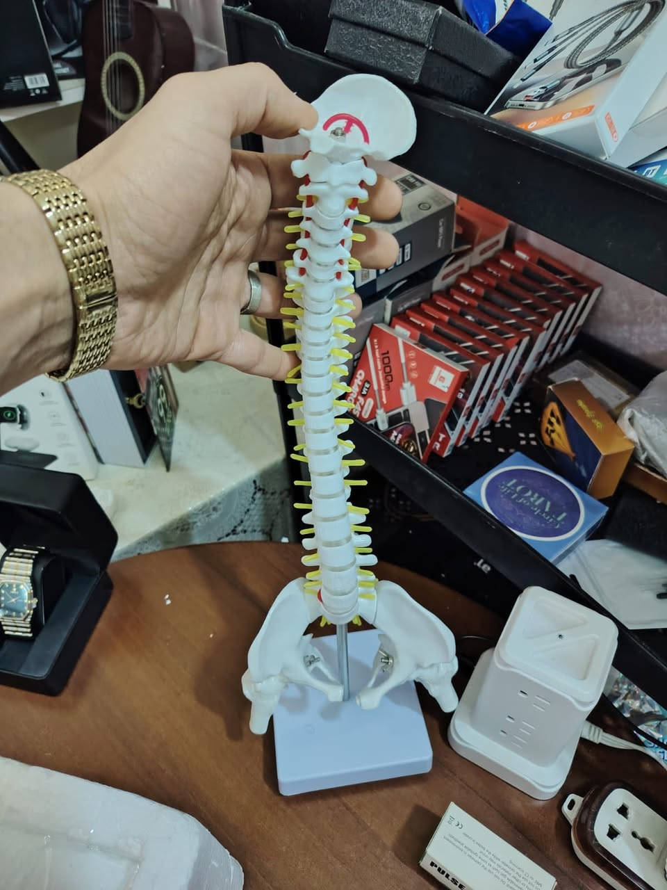 عامود فقري بهذا الشكل والتفاصيل للحجز اتصال ***********
