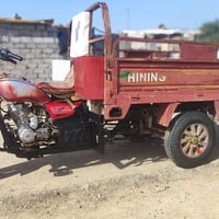 ستوته مكفوله • مديل 14 • اوراق