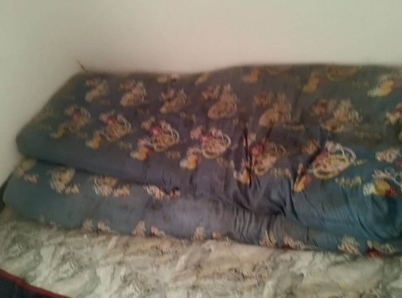 دوشك مال جربايه نفرين 
الرقم 7713084088


**إذا كنت صاحب هذا الإعلان وتريد حذفه لأي سبب، رجاءا أرسل رسالة إلى الدعم الفني**