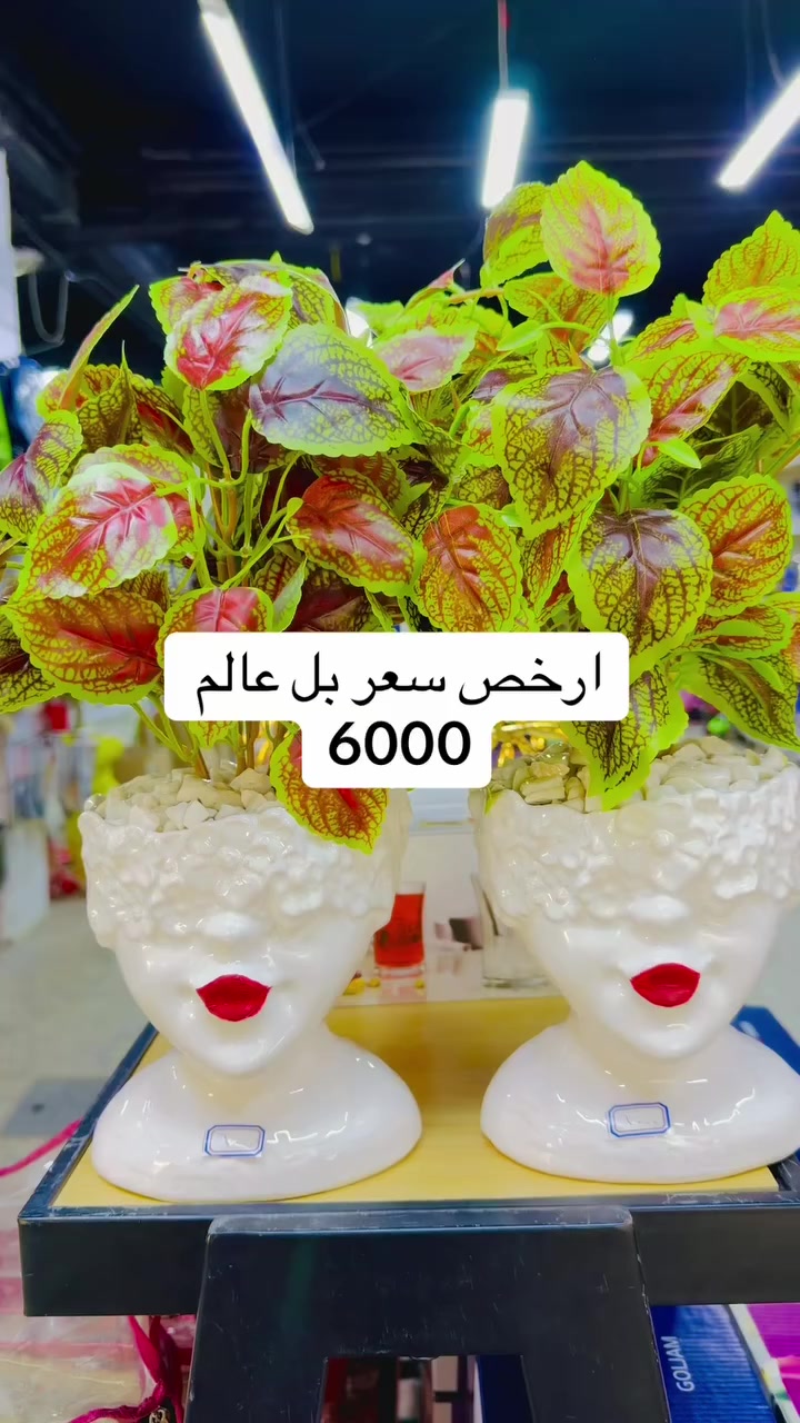 ارخص سعر بس يمنة 6000 دينار مفتحين من 3 الى 12 مساء عنوان خانقين مقابل معمل النسيج مجاور دلسوز البزاز لا يوجد توصيل  @أبرز المعجبين


**إذا كنت صاحب هذا الإعلان وتريد حذفه لأي سبب، رجاءا أرسل رسالة إلى الدعم الفني**