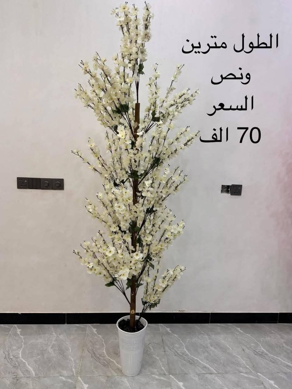 زرع صناعي


**إذا كنت صاحب هذا الإعلان وتريد حذفه لأي سبب، رجاءا أرسل رسالة إلى الدعم الفني**