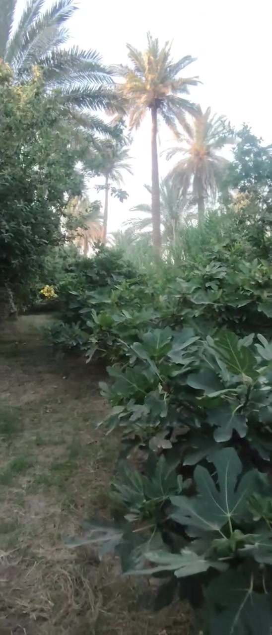 السلام عليكم قطعه ارض ل بيع مساحه 780متر نزال 60 واجه 13 اللاستفسار ***********
