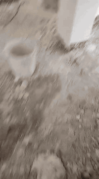 الباخ درجه اؤلا من ناصريع ***********
