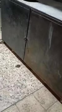 عربانة لبلبي وباقلاء للبيع للاستفسار على الرقم 07801946199 الموقع جسرد...