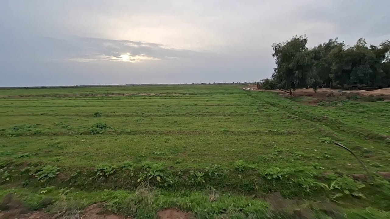 متوفر ١٠٢ بلوك واحد ارض زراعيه سند ٢٥تحويل مباشر طريق ٨متر متوفر ماء 💧 سقي كهرباء جهازه من كلشي 
***********
***********
متوفر واتساب
