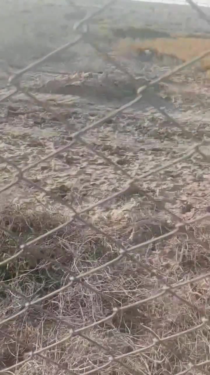 للبيع... بي أرسي وبوري مغلون..  تفاصيل اكثر داخل لفيديو .. بي أرسي نوعيه ثقيله لأصلي عرض الفتحه اربعه والحديد تلااثه ملم طول عشرين متر وأرتفاع متر ونص وبواري مغلونه طوله مترين جهاز هوه والصبه بس تحفرله وتثبته ١٤ لفه بي أرسي وخمسه وثمانين بوري وبيهن زياده زايه حديد بيعه وحده سعر لفه ٧٥ الف والبوري٨ ألفه وبيهن مجال الشراي بي خير ويدلل كلهن بيعه وحده مامتواجد على نت لأتصال على الرقم *********** المكان رفاعي طريق الشركات
