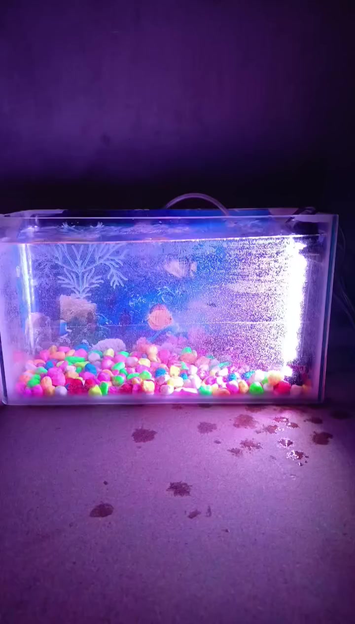 سلام عليكم حوض كامل مع الاكل والأنارة واتر بم  للبيع مكاني نجف ***********
