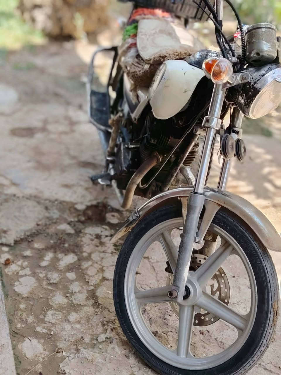 جني دبل بلك
٣٠٠ وبي مجال
***********

