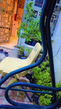 الزعفرانيه الامانه • ١٢٥م • طابو صرف سكني