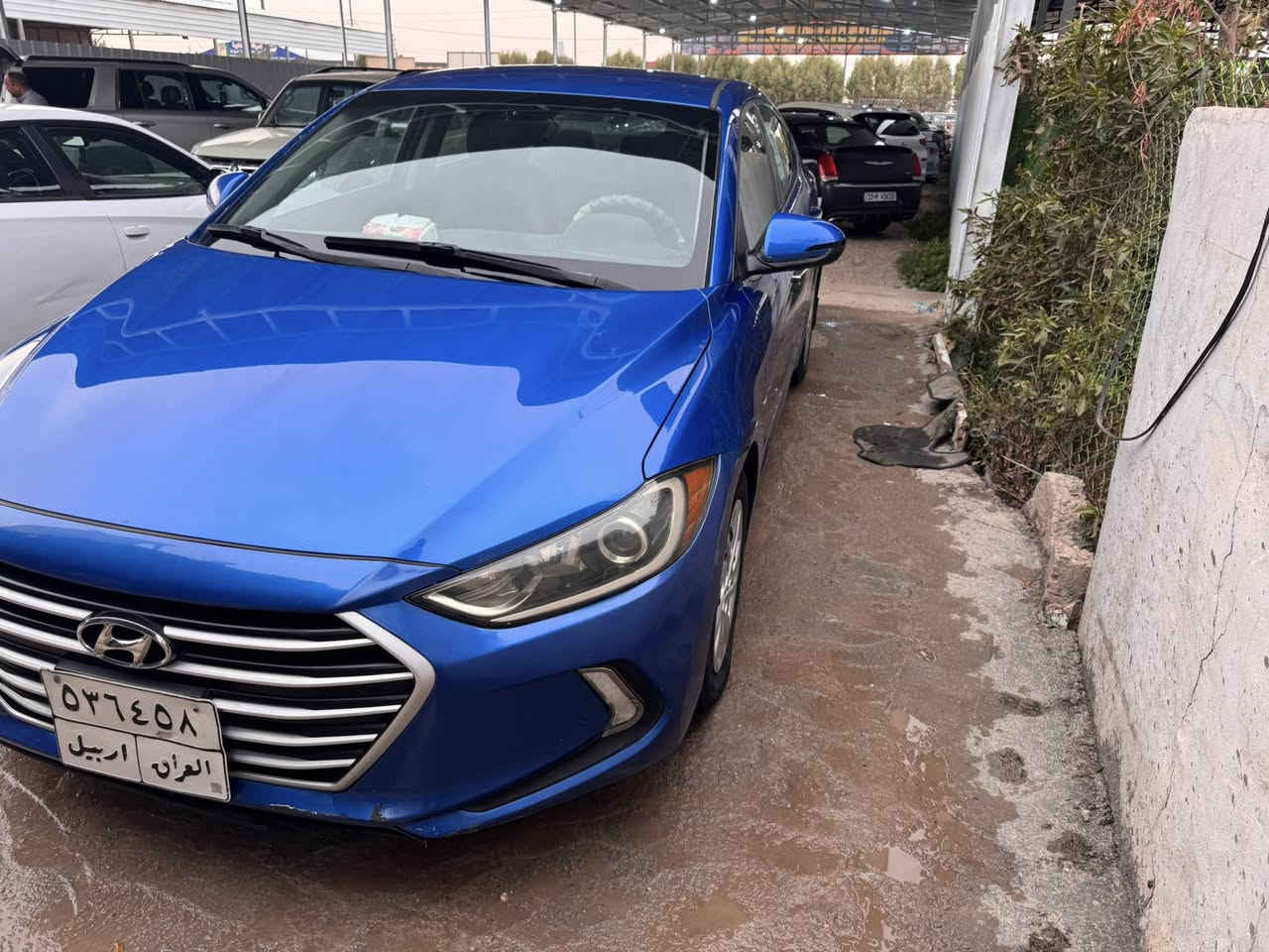 ‏سلام عليكم بيع النترا 2017 رقم أربيل تحويل وكالة موجود سيارة جديدة وحلوة ما بيها أي نقص تبريد ثلج تدفئة السعر 109 بيها مجال شراي اتصل عنوان بابل الحمزة

***********
