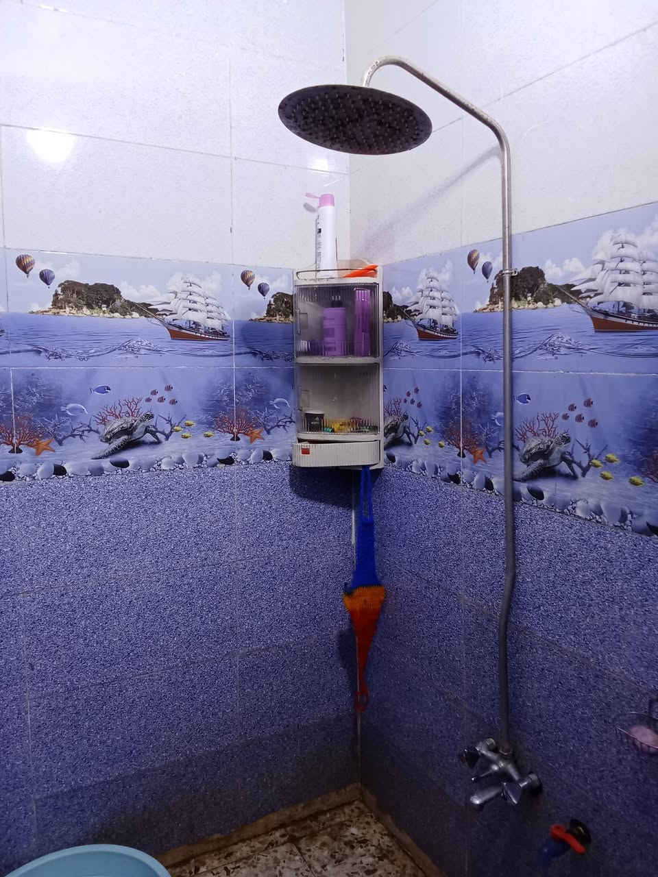 بيت للبيع 110 عله ساحه قطاع 31
4 غرف+ستقبال+صاله
للستفسار ***********
